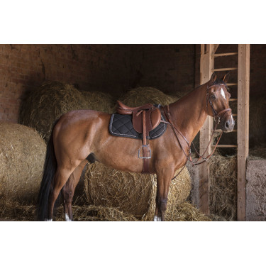 Cinta combinada Eric Thomas Hybrid Havana Castanho