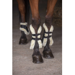 Protetor de boleto Norton XTR com lã sintética Preto