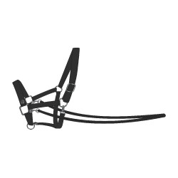 Caveção Free Ride Hobby Horse Imperial Riding Free Spirit Preto