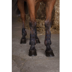 Polainas Norton XTR Castanho