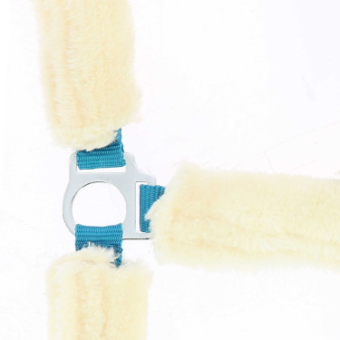 Cabeçada Norton com forro completo de lã sintética Azul elétrico / cru