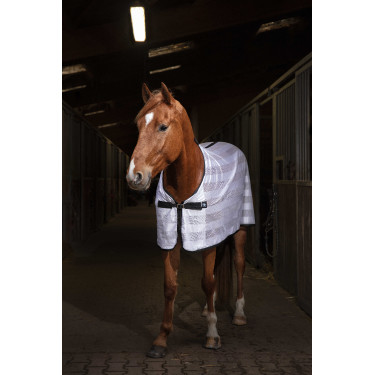 Camisa Riding World Mesh Camisa Riding World Mesh