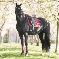 Manta de sela Imperial Riding Josie Dressage Figue Violeta Manta de sela Imperial Riding Josie Dressage Figue Violeta