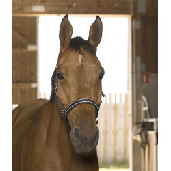 Cabeçada Norton Reflective Preto Cabeçada Norton Reflective Preto