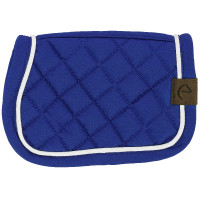 Mini-tapete Pony Academy Azul royal