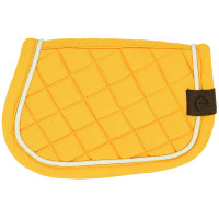 Mini-tapete Pony Academy Amarelo