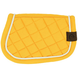 Mini-tapete Pony Academy Amarelo