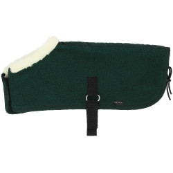 Mini-coberturas Pony Academy Verde escuro