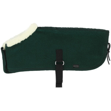 Mini-coberturas Pony Academy Verde escuro