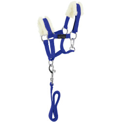 Mini-cabresto + guia Pony Academy Azul royal
