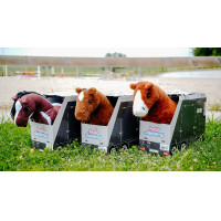 Mini-pónei Poly Pony Academy Bicolores