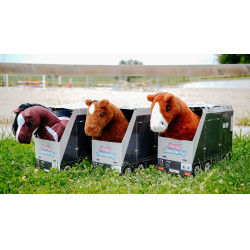 Mini-pónei Poly Pony Academy Bicolores Mini-pónei Poly Pony Academy Bicolores