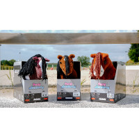 Mini-pónei Poly Pony Academy Bicolores