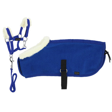 Conjunto Mini cabresto + manta Pony Academy Azul royal