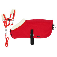 Conjunto Mini cabresto + manta Pony Academy Vermelho