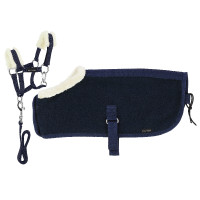 Conjunto Mini cabresto + manta Pony Academy Marinho Azul-marinho
