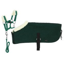 Conjunto Mini cabresto + manta Pony Academy Verde escuro Conjunto Mini cabresto + manta Pony Academy Verde escuro