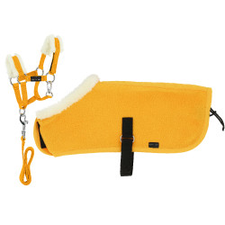 Conjunto Mini cabresto + manta Pony Academy Amarelo Conjunto Mini cabresto + manta Pony Academy Amarelo