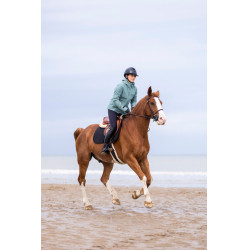 Casaco Essential Horse Pilot feminino Verde sálvia