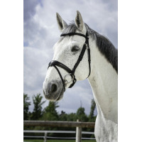 Bridon Norton Pro Soft Preto