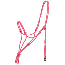 Caveçon etológico Norton em nylon Rosa velho Caveçon etológico Norton em nylon Rosa velho