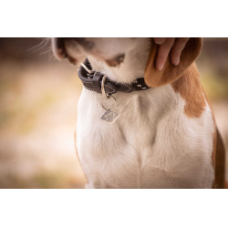 Coleira para cão Penelope Billie