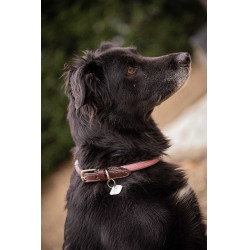 Coleira para cão Penelope Billie Rosa / lurex