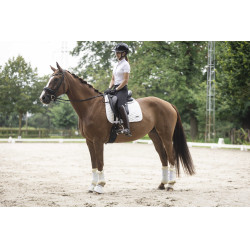 Galão removível para capacete Lami-Cell Glitter Preto