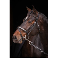 Bridão Pénélope Symphonie Havana Castanho Bridão Pénélope Symphonie Havana Castanho