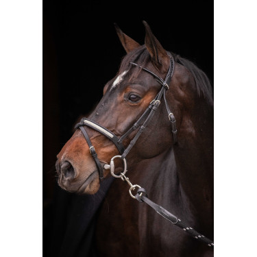 Bridão Pénélope Symphonie Preto