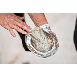 Argila para casco Ravene Pediplast Argila para casco Ravene Pediplast