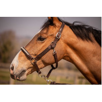 Caveção Pénélope Harmonie Castanho