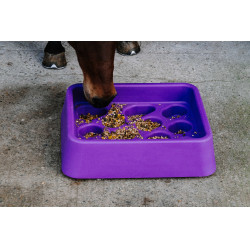 Comedouro anti-guloso Hippotonic Violeta Comedouro anti-guloso Hippotonic Violeta