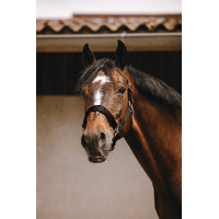 Cabresto de nylon Equithème Jacquard Preto Cabresto de nylon Equithème Jacquard Preto