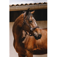 Cabresto de nylon Equithème Jacquard Castanho