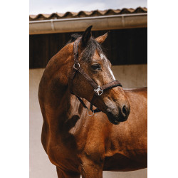 Cabresto de nylon Equithème Jacquard Castanho Cabresto de nylon Equithème Jacquard Castanho