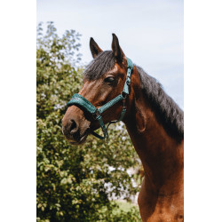 Cabresto de nylon Equithème 3D Mesh Verde Cabresto de nylon Equithème 3D Mesh Verde