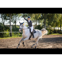 Números de partida HKM Viola Castanho escuro