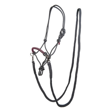 Cabezada etológica Strass com rédeas / longas HKM Cinza / uva Cinzento Cabezada etológica Strass com rédeas / longas HKM Cinza / uva Cinzento