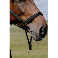 Caveção Norton Educativo Preto