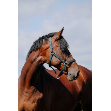 Almofada de Cabresto Riding World Marinho Azul-marinho