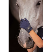 Luvas Eden by Pénélope Inverno Marinho Azul-marinho