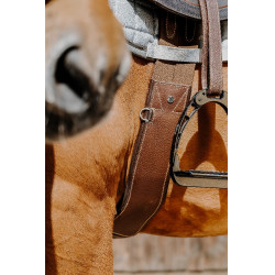 Cilha anatômica Magnet Norton Havana Castanho Cilha anatômica Magnet Norton Havana Castanho