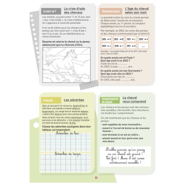Meu Caderno de Atividades Nível CM1 Lavauzelle Meu Caderno de Atividades Nível CM1 Lavauzelle