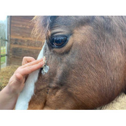 Creme Animaderm Derfen™ Clear