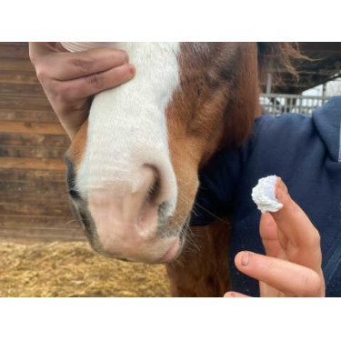 Protetor solar Animaderm Solaren Protetor solar Animaderm Solaren