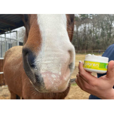 Protetor solar Animaderm Solaren Protetor solar Animaderm Solaren