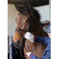 Luvas de limpeza Belvoir® Carr & Day & Martin Tack Cleaner Branco Luvas de limpeza Belvoir® Carr & Day & Martin Tack Cleaner Branco