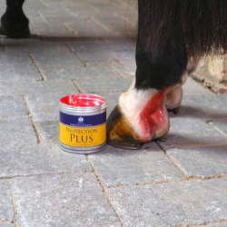 Creme de proteção Carr & Day & Martin Protection Plus