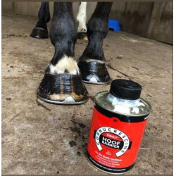 Óleo para cascos Carr & Day & Martin Daily Hoof Barrier Cornucrescine Óleo para cascos Carr & Day & Martin Daily Hoof Barrier Cornucrescine